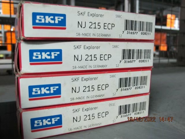 SKF Photo 135